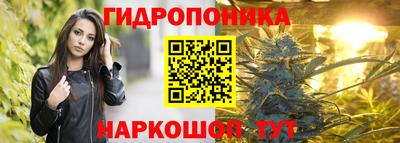 гашик Ливны