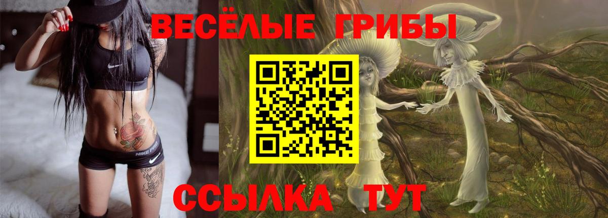 Псилоцибиновые грибы Cubensis Казань
